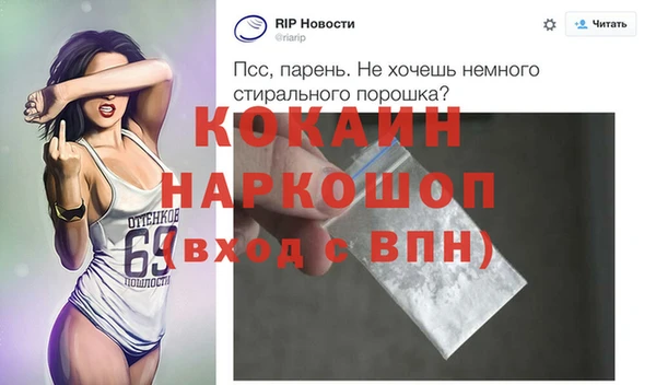 a pvp Бородино