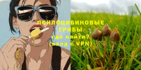 герыч Бронницы