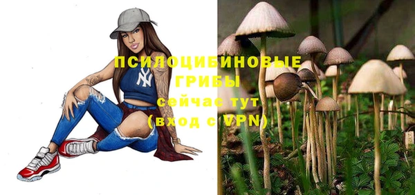 герыч Бронницы