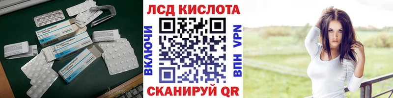 kraken ТОР  как найти закладки  Городовиковск  LSD-25 экстази кислота 