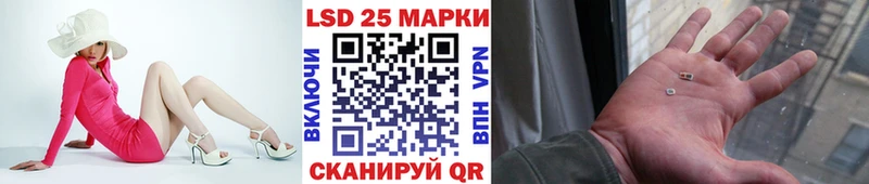 shop как зайти  Городовиковск  Наркотические марки 1500мкг  где продают   гидра ССЫЛКА 