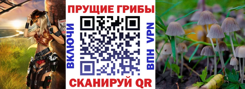 Галлюциногенные грибы прущие грибы Городовиковск